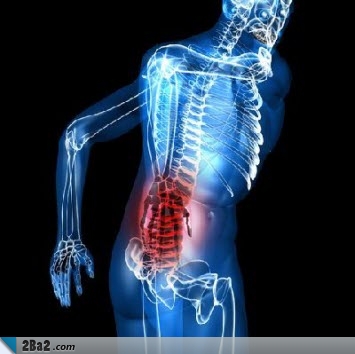 Sciatic-nerve3