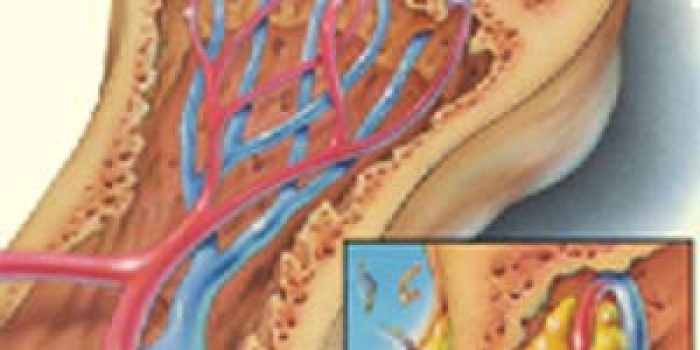 0780842fe06f0722542acb491a1263dd