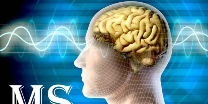 0x01e7e0549144f240_0