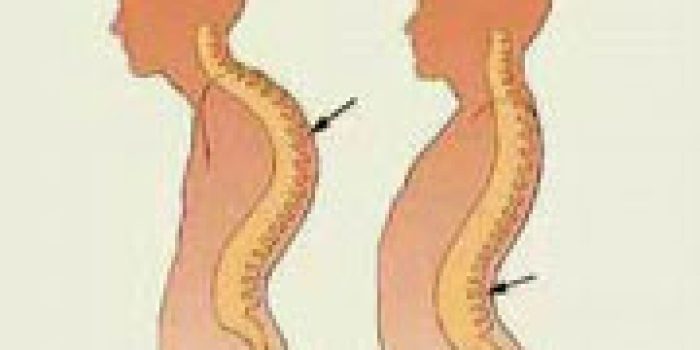 1121361922041631021021193981651991564104