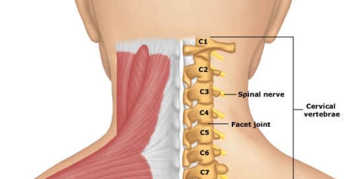 13299877822112603238