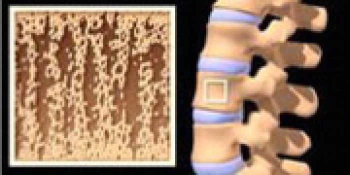 175249501395425011424625091581611935074211