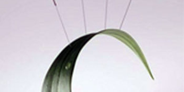 طب سوزنی در درد گردن, درمان گردن درد