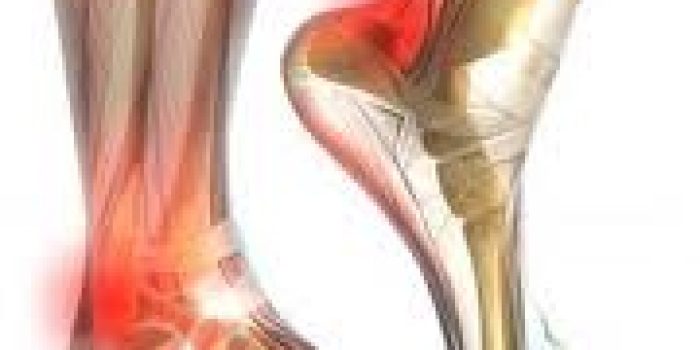 18418410824818186106363117205174949411980