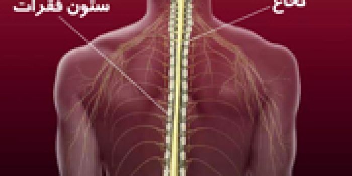 199164191673715722212675180253019617359168