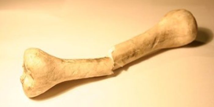 2015_634869088887647656_l