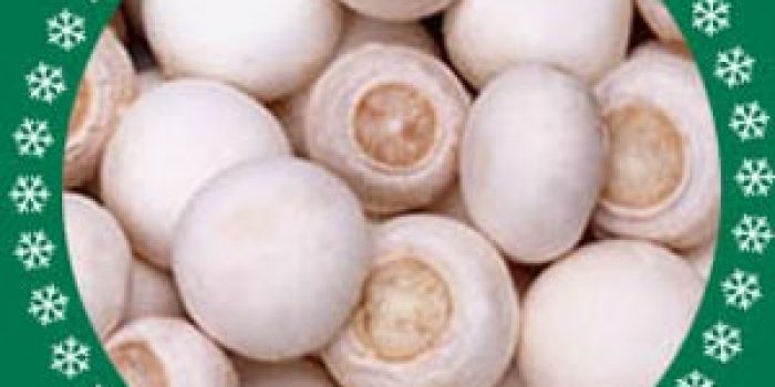 206b470537a95623cda93d1c68ac9f87