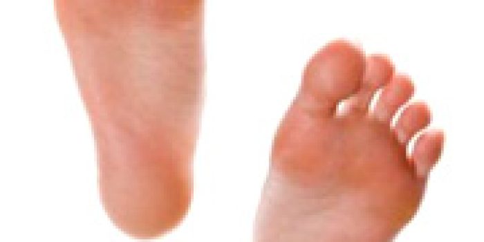 21625211119635125197855931605111236250247