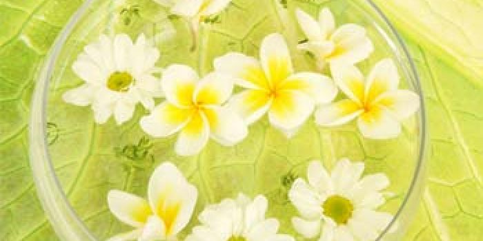 2f4d6df4240fcdb6ad566affacfbcca4