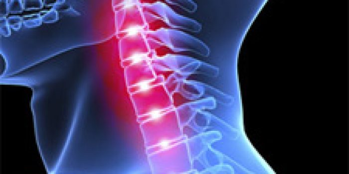 37290263847544999400