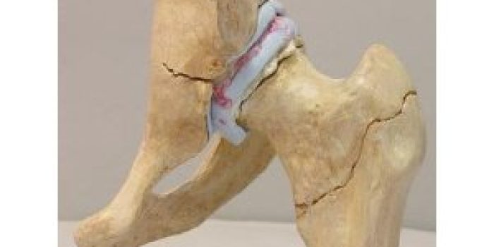 4113zjAyByL._SL500_AA300_