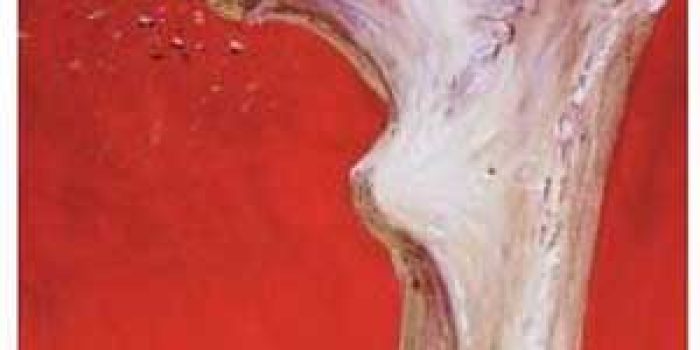 425f6ab21839b17cedc7cddc2e2e989b