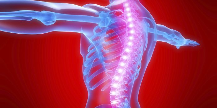 452431961693845822217522367323519817229