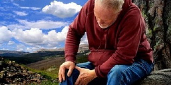 46b4358e-abf4-4109-825c-b61efd9d1381