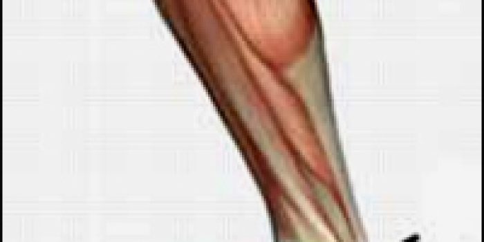 70-piiic-drmoghtader-am