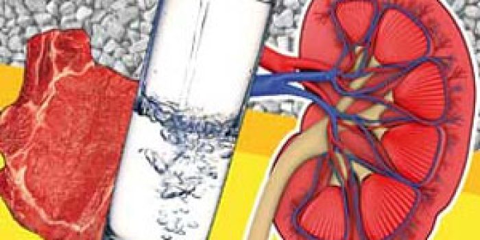 7a34800e32e5ec2ddea2cc148adb32fc