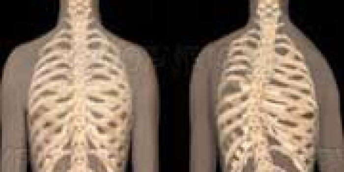 81922121651431631611701132401469253727