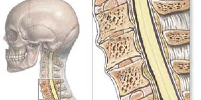 8a146840973de406a3642dbf22933abf