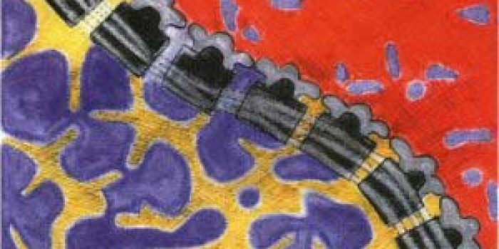 8d937216e12f04347d24a0fdd3eb61db