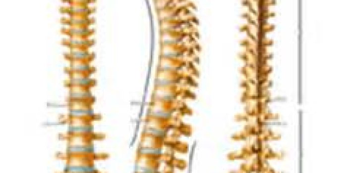 News-635095856775223120