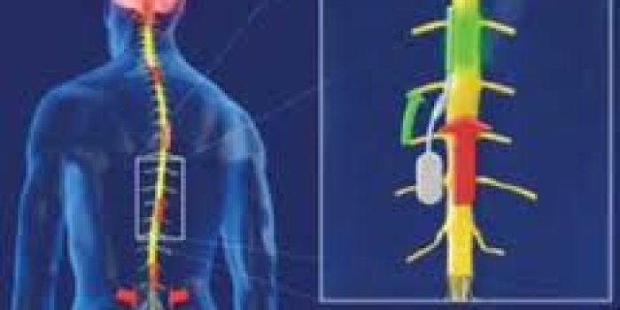 UCALZM7B8CAZCVGX8CAZ2RFN5CACP5ETJCAJE5HL1CA57OWWMCA0HFTX4CAYF9H81CAXQZD0TCAXX4B21CAKZG2X9CA0265SBCA8GPCZJCAKXKDAZCAUQSLAECALUR43RCA44UVPYCAHAQK95