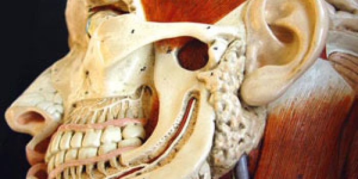 f971dbbd87552d2ed6966a870a49f4fb