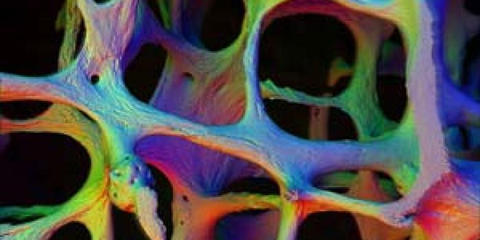 f9d06302ab471d102cc656bdd0342e43