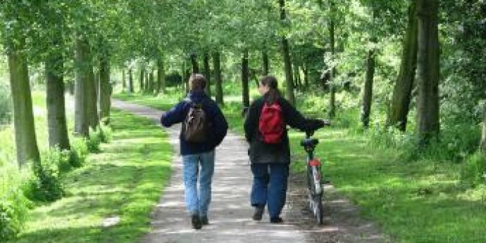 fd238769d35dca459717c3d3b8d50dc9exercise