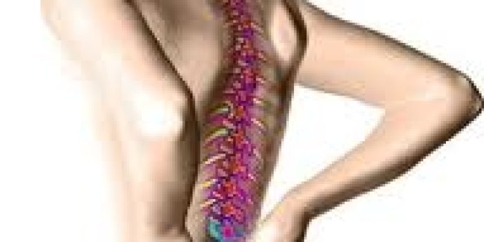 پوکی استخوان