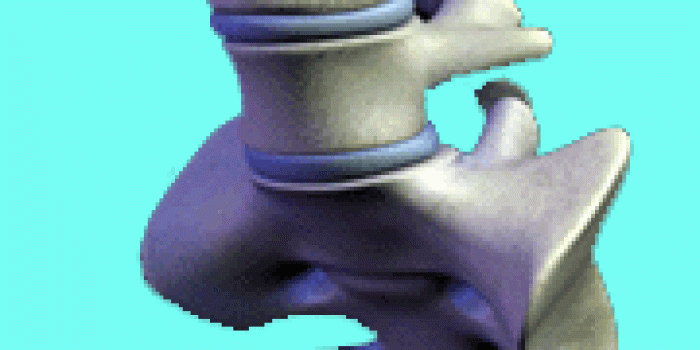 lumbarspine