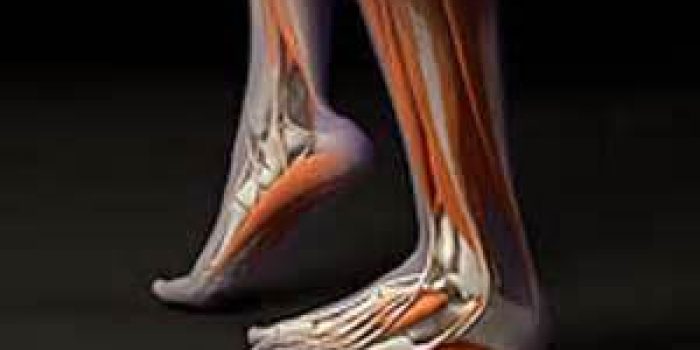 مچ پا, تقويت مچ پا, حركاتی برای تقويت مچ پا