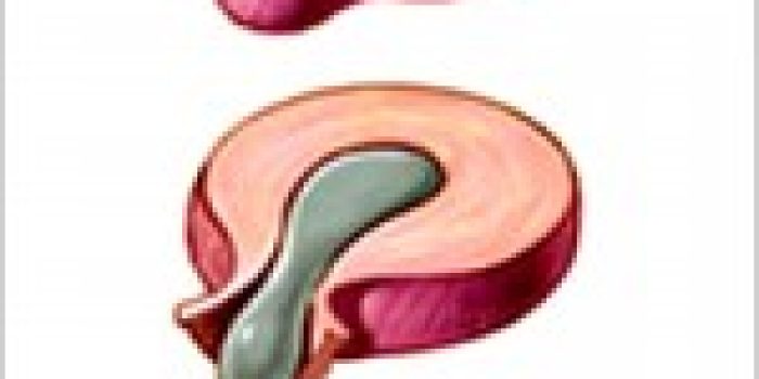 wpid-s-drahadi3-pic1-150x150