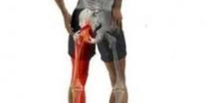 مفاصل, درد مفاصل,درمان طبیعی درد مفاصل