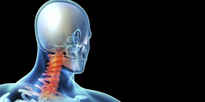 تشخیص دیسک گردن با انجام تست عصب، سی تی اسکن و ام آر آی