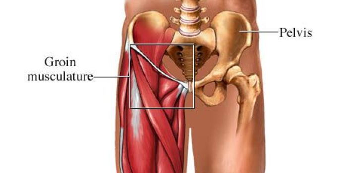 درد کشاله ران