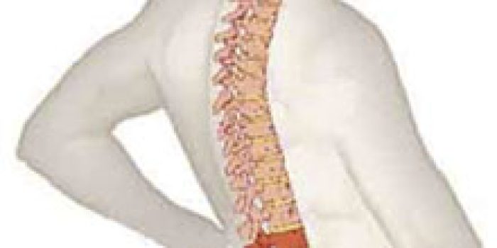 ستون فقرات+2