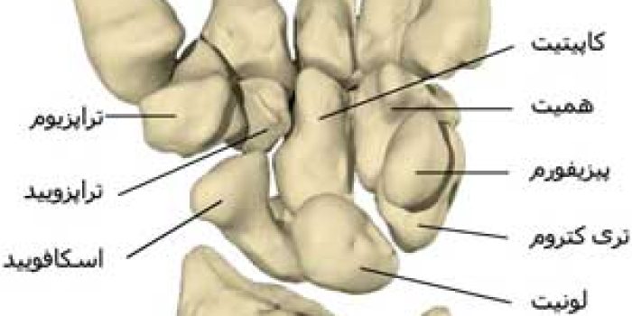مچ دست مفاصل