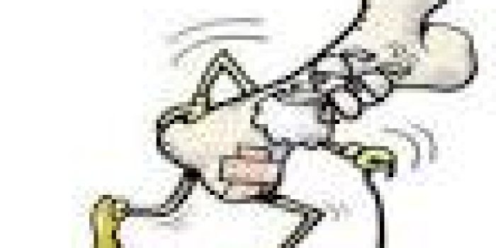 پوکی استخوان 1