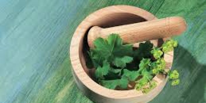 گیاه درمانی